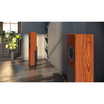 Manger Audio s1 active speakers walnut, in room