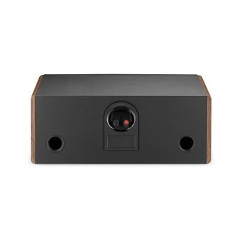 Focal Vestia Center dark wood rear, connections
