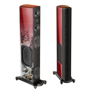 GoldenEar T66 transparent