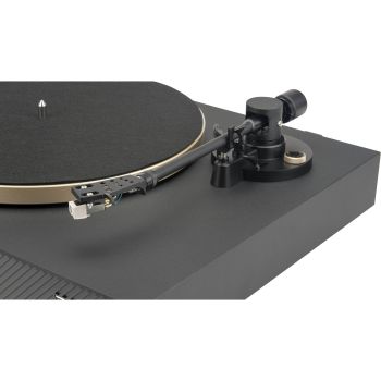 JBL Spinner BT black-gold