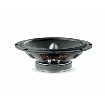 woofer of Focal ASE-165 S set