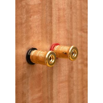 Graham Derek Hughes LS6 Special Edition, rear, speaker terminals