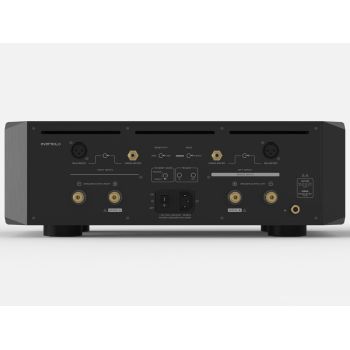 EVERsolo AMP-F10 rear, connections