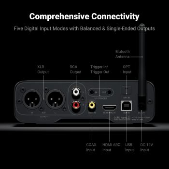 Fosi Audio ZD3 rear, connections