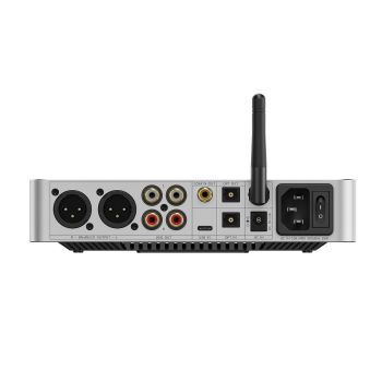 FiiO BR15 R2R silver rear-connections