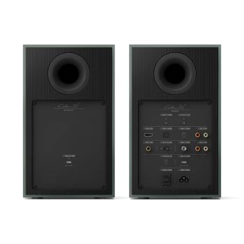 KEF Coda W mosse green rear-connections