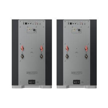 Mark Levinson No 631 rear-connections