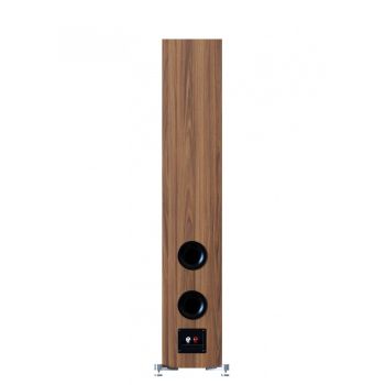 Elac Debut 3.0 DF63 walnut rear-connections