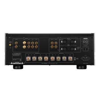 Luxman L-100 Centennial rear-connections