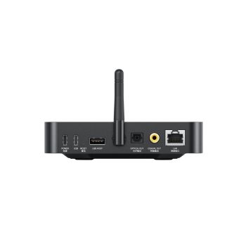 FiiO SR11 black rear-connections