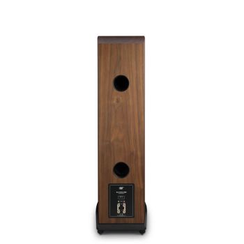 MoFi Electronics SourcePoint 888 walnut rear-connections
