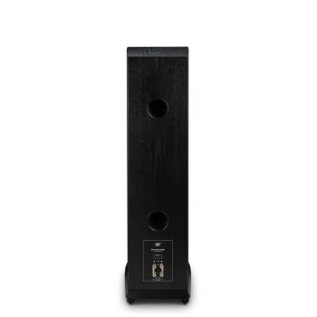 MoFi Electronics SourcePoint 888 black rear-connections