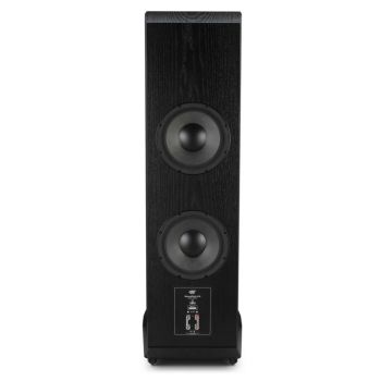 MoFi Electronics SourcePoint V10 Master Edition black back-passive radiators