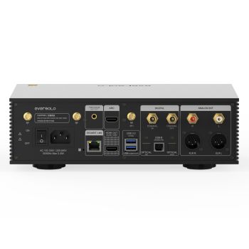 Eversolo DMP-A6 Gen 2 rear-connections